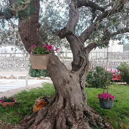 Apulian Charme Trulli And *